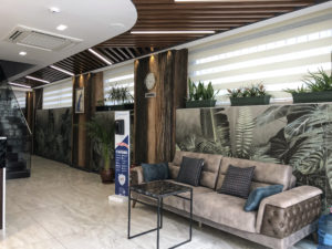 Alyans clinic