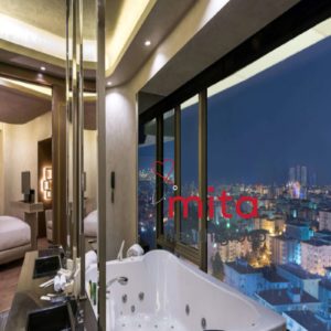 Mita Health Group