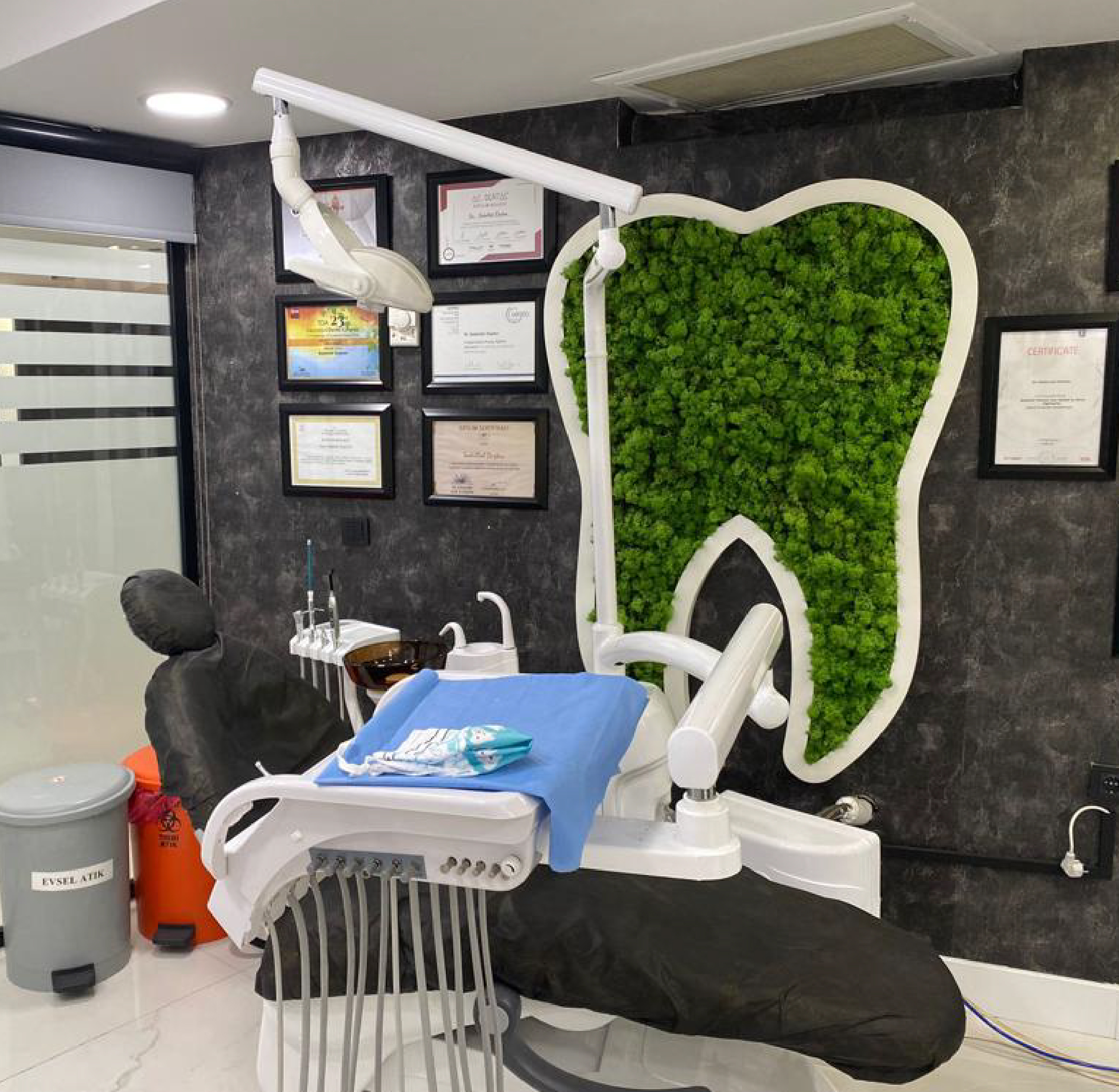 Denthouse clinic