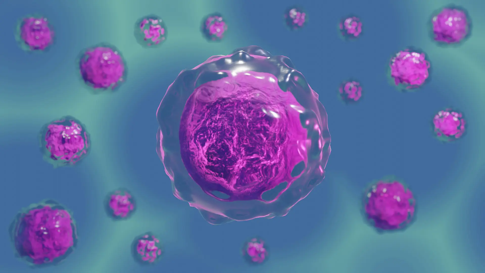 stem cells